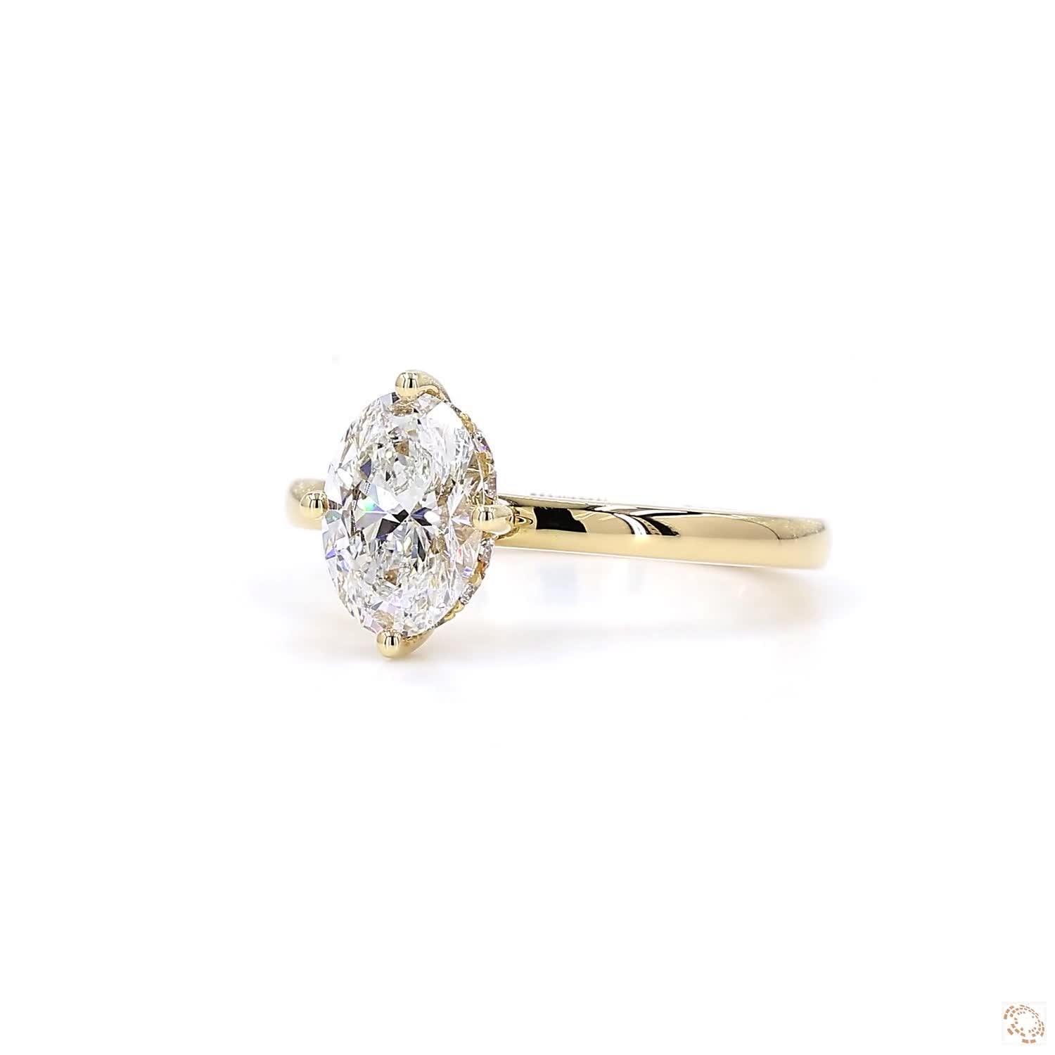 Oval Diamond & Hidden Halo Engagement Ring
